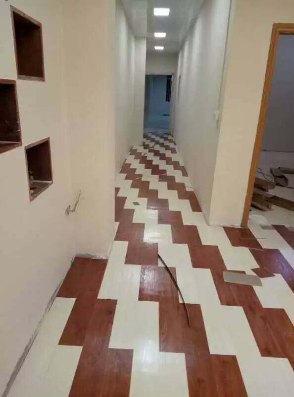 广州新塘宠物店木纹地板胶工程案例